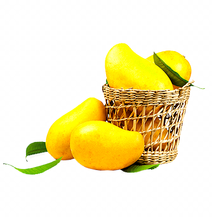 манго