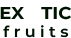 logo footer